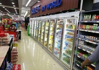 De Vertonings Koude Zaal van de supermarkt Koele Drank, Commerciële Gang in Diepvriezerzaal