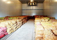 Groente- of fruitkoude opslagruimte met isolatiepaneel van 43 kg / m³