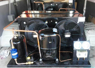 Hermetische condensatie-eenheid met elektrisch beheer met Copeland ZB-scrollcompressor